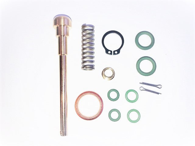 REBUILD KIT STEAM VALVE CLASSIC / MINI