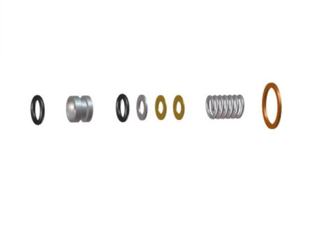 REBUILD KIT STEAM /HOT WATER WAND GS3