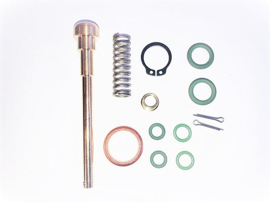 REBUILD KIT STEAM VALVE CLASSIC / MINI